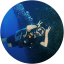 fei zhou profile picture