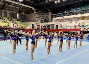 Stardust Gymnastics place picture