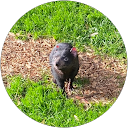 Johwa Lime profile picture
