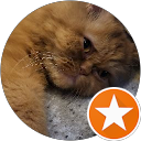 Nazurah Majeed profile picture