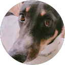 Max Mager profile picture