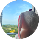 LM Ng profile picture