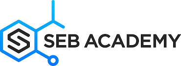 3. Seb Academy