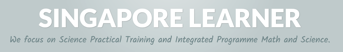 3. Singapore Learner