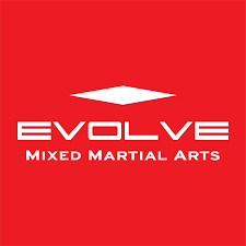 Onyx MMA Singapore logo