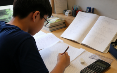 What Is AMath? Singapore Secondary Math Guide