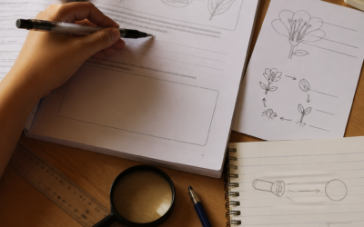 How To Answer PSLE Science Questions Effectively