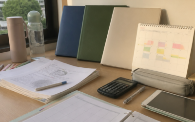 How Many Subjects In JC? Singapore Subject Combinations And Workload