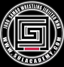 SUL ACADEMY logo