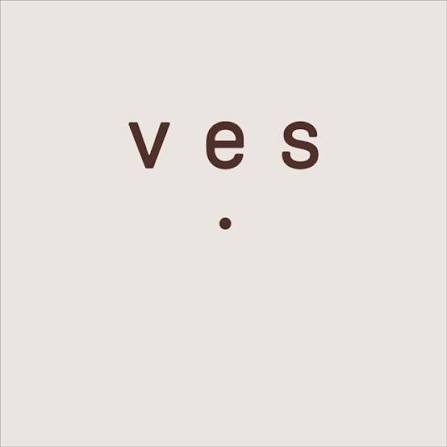 Ves Studio logo