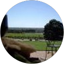 Yvonne Ban profile picture