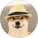 Bochao Cui profile picture