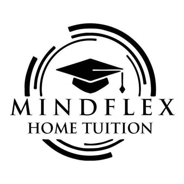 MindFlex - Your Best Platform for Primary Higher Chinese Home Tuition