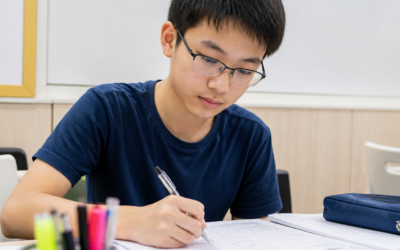 Top 10 IB SL Chinese Tuition Centres in Singapore