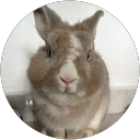 schuen tan profile picture