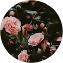 Gnana Harini profile picture