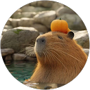 Darwin Ho profile picture