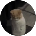 Sxeptical profile picture