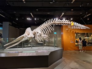 Lee Kong Chian Natural History Museum, Singapore place picture