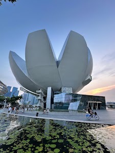 ArtScience Museum place picture