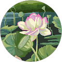 Sheena Lim profile picture