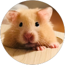 Megan profile picture
