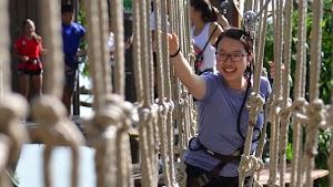 Forest Adventure Pte Ltd place picture