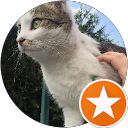 L T profile picture