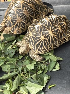 Acres Wildlife Rescue Centre place picture