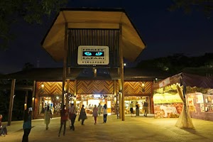 Night Safari place picture