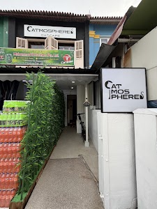 Catmosphere Cat Cafe place picture