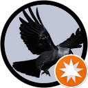 Blackraven profile picture