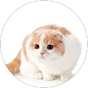 กรรวี พูลพัฒน์ profile picture