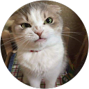 nellie profile picture