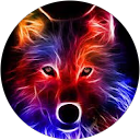 Confusionist profile picture