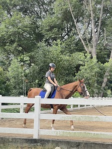 Gallop.sg place picture