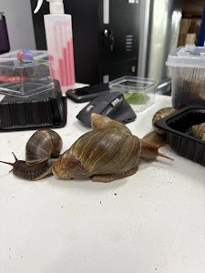 WholeSnail place picture
