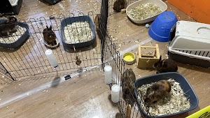Happy Bunny Cafe place picture