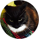 Chloe Szajdzicka profile picture