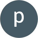 punya gulati profile picture