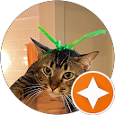 S T profile picture