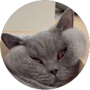 Sarah Pang profile picture