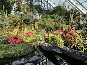 Cloud Forest place picture