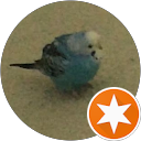 Birdie Chirp profile picture