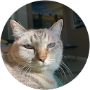 Muhammad Adam Erman profile picture
