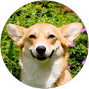 Christiana Chan profile picture