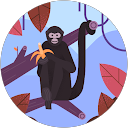 Kok Eng Soh profile picture