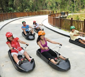 Skyline Luge Singapore place picture