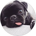 Kayla Lee profile picture