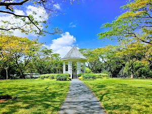 Singapore Botanic Gardens place picture